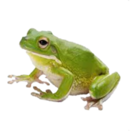Froggby