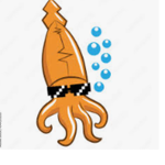 squiddyV