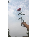 Musically_Queen1289’s Squad