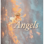 HappyxAngles