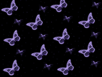 Aesthetic star’s and butterfly’s