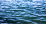 Colored Cxcxine