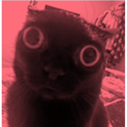 Jinx Judgement
