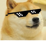 MLG cool doge 2