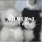 N A N $ Y