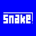 Snake Game