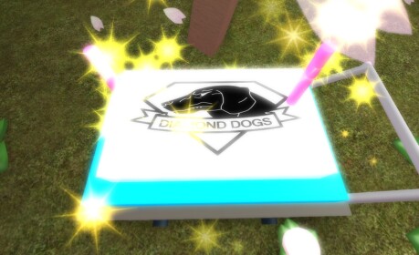 -Diamond Dogs-Metal Gear BirthDay