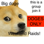 Weekend Raids