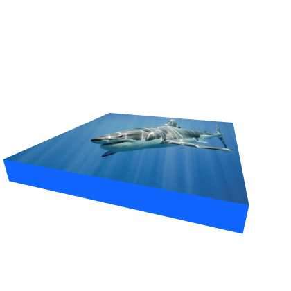 shark spawn