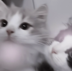 ୨ 天 使 の 楽 園 ୧