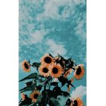 Art krew