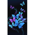 Butterfly #### Squad