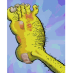 Left toe fanboys