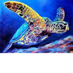 -Turtle_Squad-