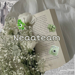 Neateam_ Group Thumbnail