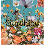 –Sunshine–