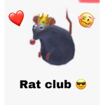 Rat club ;)