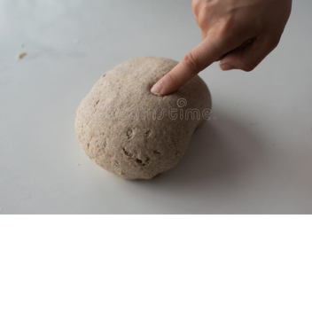 Survive the monsters in different biomes