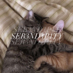 SER3ND1P1TY