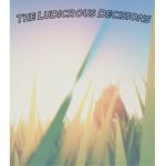 The Ludicrous Decisions