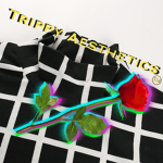 TRIPPY AESTHETICS Clothing