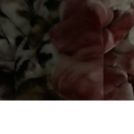 Ok-roblox