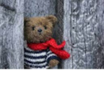 The Teddy Bears........