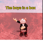 The boys in a box