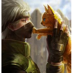 Ninja Hangout