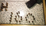 160.