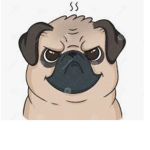 Cartoony pug club