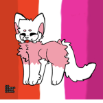 Cat/gato Group