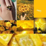 Brynn's Beehive <3