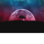Moonz Group