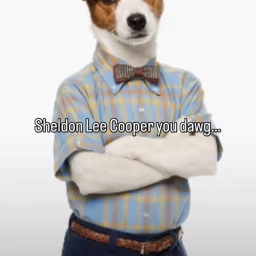 Young Sheldon Tycoon