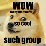 ### The Doge Group
