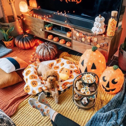🎃
