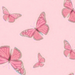 Gias Beautiful Butterflies
