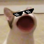 ﾌﾟﾕ国