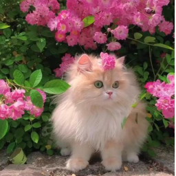 ♡