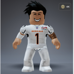NFL BROS