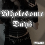 Wholesome Days