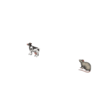 This is for my rat