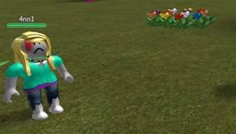 4nn1 Roblox