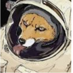 The astronauts in the ocean