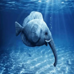 Fishphant Studios