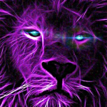 Chicodalions Lions!