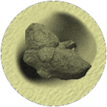 Ankylostone fossil