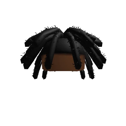 Wicks (Black) | Roblox Item - Rolimon's