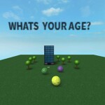Whats your ROBLOX age??